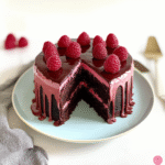 Fudgy Chocolate Cake with Raspberry Frosting